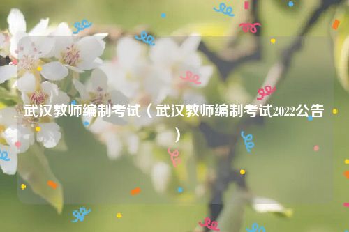 武汉教师编制考试（武汉教师编制考试2022公告）