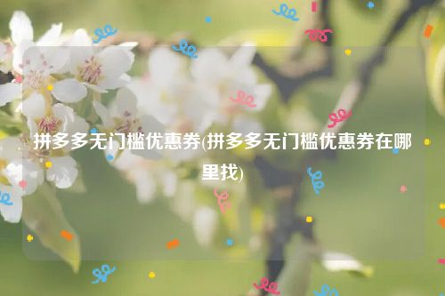 拼多多无门槛优惠券(拼多多无门槛优惠券在哪里找)