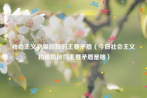 社会主义初级阶段的主要矛盾（今日社会主义初级阶段的主要矛盾是啥）