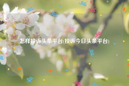 怎样投诉头条平台(投诉今日头条平台)