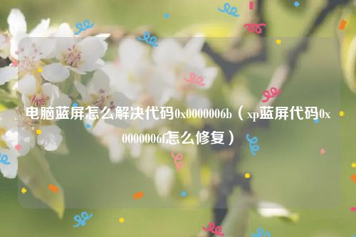 电脑蓝屏怎么解决代码0x0000006b（xp蓝屏代码0x0000006f怎么修复）