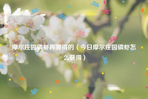 摩尔庄园磷虾再哪得的（今日摩尔庄园磷虾怎么获得）