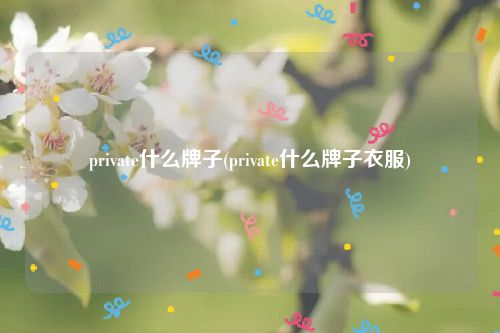 private什么牌子(private什么牌子衣服)