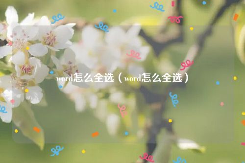 word怎么全选（word怎么全选）