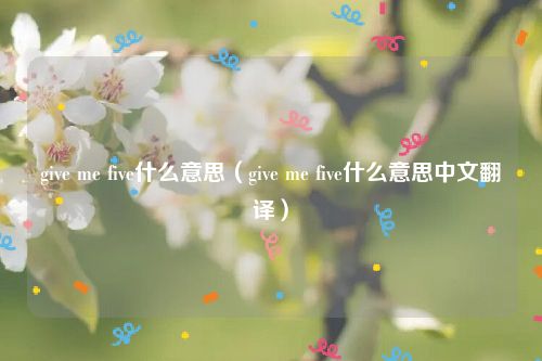 give me five什么意思（give me five什么意思中文翻译）