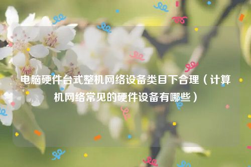 电脑硬件台式整机网络设备类目下合理（计算机网络常见的硬件设备有哪些）