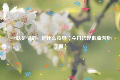 “啥是佩奇”是什么意思(今日啥是佩奇营销手段)