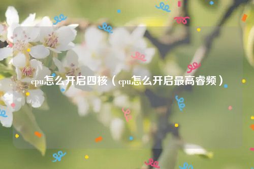 cpu怎么开启四核（cpu怎么开启最高睿频）