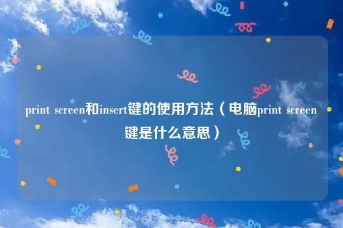 print screen和insert键的使用方法（电脑print screen键是什么意思）