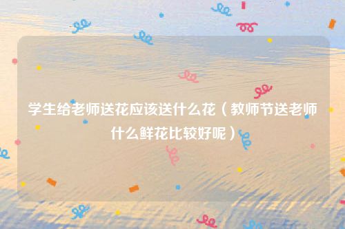 学生给老师送花应该送什么花（教师节送老师什么鲜花比较好呢）