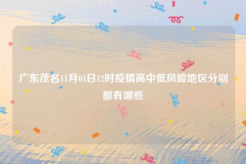广东茂名11月04日12时疫情高中低风险地区分别都有哪些