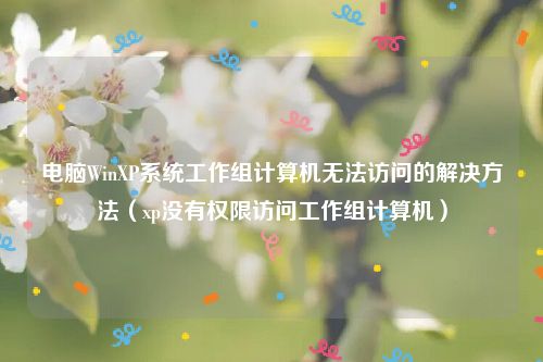 电脑WinXP系统工作组计算机无法访问的解决方法（xp没有权限访问工作组计算机）