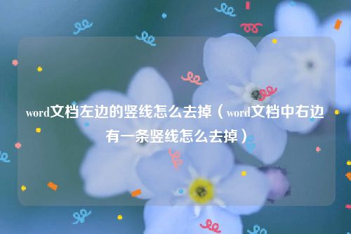 word文档左边的竖线怎么去掉（word文档中右边有一条竖线怎么去掉）