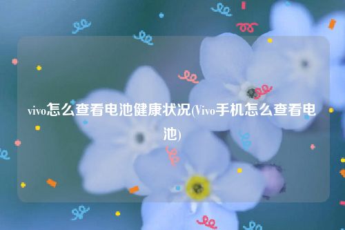 vivo怎么查看电池健康状况(Vivo手机怎么查看电池)