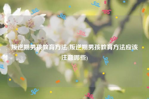 叛逆期男孩教育方法(叛逆期男孩教育方法应该注意哪些)