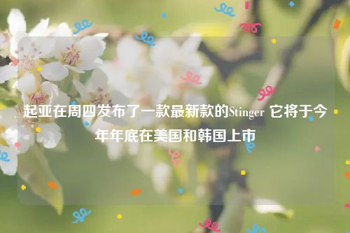 起亚在周四发布了一款最新款的Stinger 它将于今年年底在美国和韩国上市