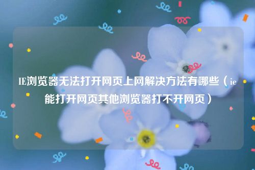 IE浏览器无法打开网页上网解决方法有哪些（ie能打开网页其他浏览器打不开网页）