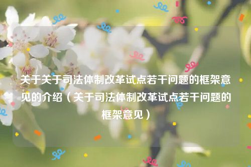 关于关于司法体制改革试点若干问题的框架意见的介绍（关于司法体制改革试点若干问题的框架意见）