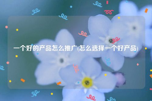 一个好的产品怎么推广(怎么选择一个好产品)