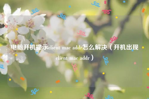 电脑开机提示client mac addr怎么解决（开机出现client mac addr）