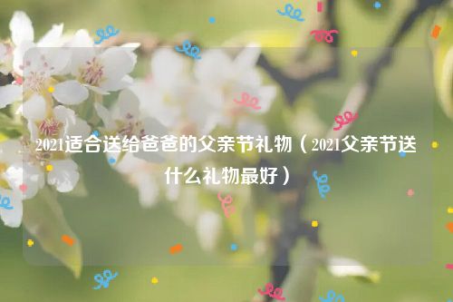 2021适合送给爸爸的父亲节礼物(2021父亲节送什么礼物最好)