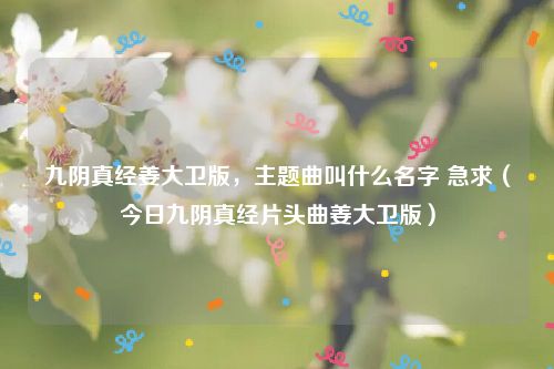 九阴真经姜大卫版，主题曲叫什么名字 急求（今日九阴真经片头曲姜大卫版）
