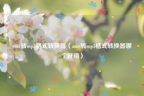 amr转mp3格式转换器（amr转mp3格式转换器哪个好用）