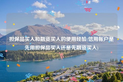 担保品买入和融资买入的使用经验(信用帐户是先用担保品买入还是先融资买入)