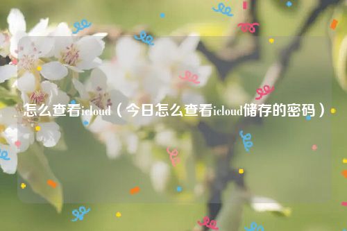 怎么查看icloud(今日怎么查看icloud储存的密码)