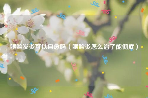 眼睑发炎可以自愈吗（眼睑炎怎么治了能彻底）