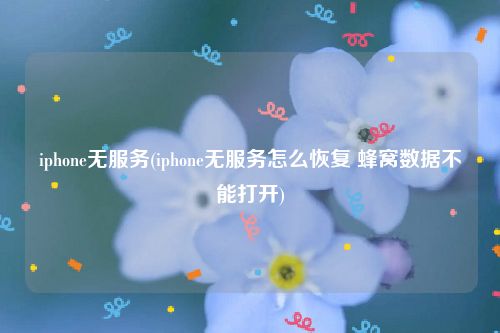 iphone无服务(iphone无服务怎么恢复 蜂窝数据不能打开)