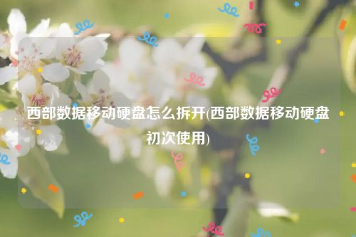 西部数据移动硬盘怎么拆开(西部数据移动硬盘初次使用)
