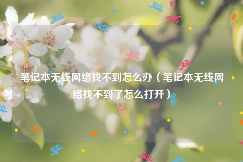 笔记本无线网络找不到怎么办（笔记本无线网络找不到了怎么打开）