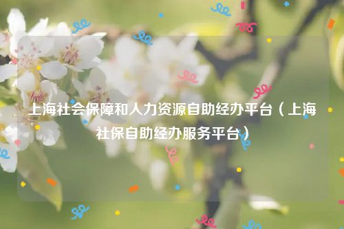上海社会保障和人力资源自助经办平台（上海社保自助经办服务平台）