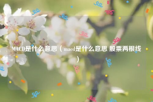 MACD是什么意思(macd是什么意思 股票两根线)