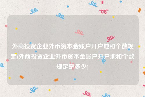 外商投资企业外币资本金账户开户地和个数规定(外商投资企业外币资本金账户开户地和个数规定是多少)