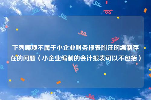 下列哪项不属于小企业财务报表附注的编制存在的问题（小企业编制的会计报表可以不包括）