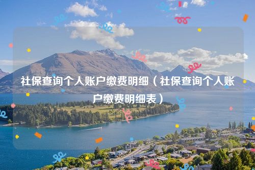 社保查询个人账户缴费明细(社保查询个人账户缴费明细表)