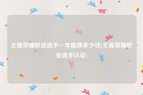 王者荣耀职业选手一年能挣多少钱(王者荣耀职业选手认证)