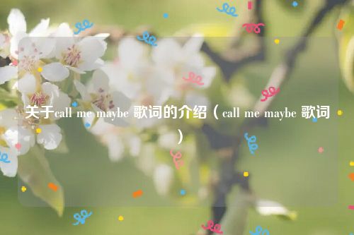 关于call me maybe 歌词的介绍（call me maybe 歌词）