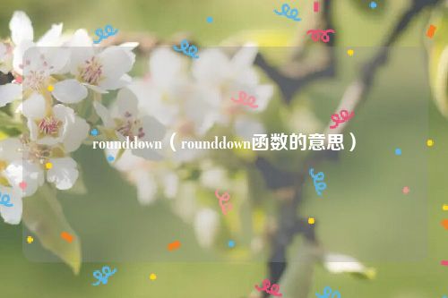 rounddown（rounddown函数的意思）