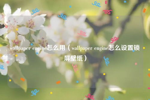 wallpaper engine怎么用（wallpaper engine怎么设置锁屏壁纸）