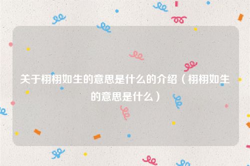 关于栩栩如生的意思是什么的介绍（栩栩如生的意思是什么）