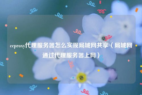 ccproxy代理服务器怎么实现局域网共享（局域网通过代理服务器上网）