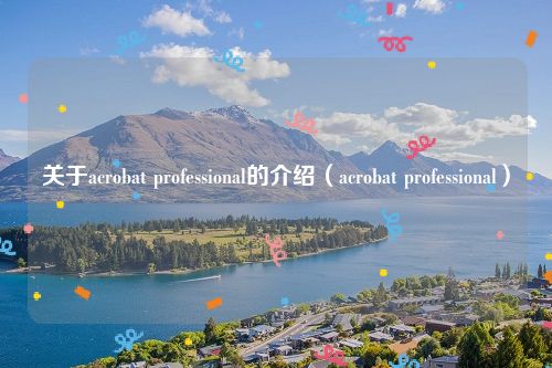 关于acrobat professional的介绍(acrobat professional)
