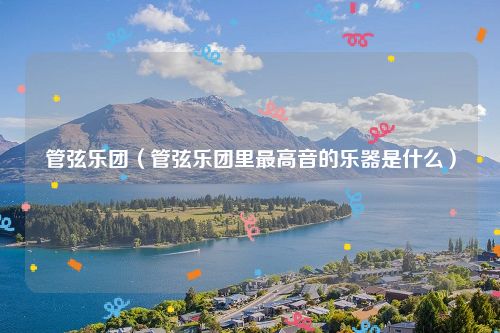 管弦乐团(管弦乐团里最高音的乐器是什么)