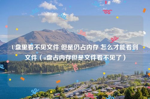 U盘里看不见文件 但是仍占内存 怎么才能看到文件(u盘占内存但是文件看不见了)