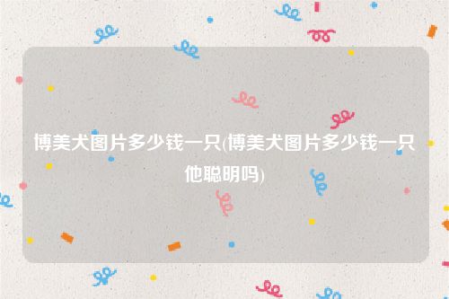 博美犬图片多少钱一只(博美犬图片多少钱一只他聪明吗)