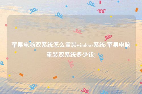 苹果电脑双系统怎么重装windows系统(苹果电脑重装双系统多少钱)