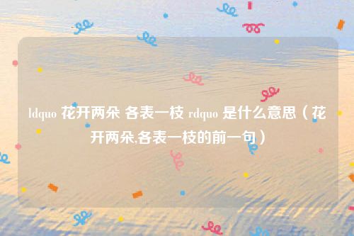 ldquo 花开两朵 各表一枝 rdquo 是什么意思（花开两朵,各表一枝的前一句）